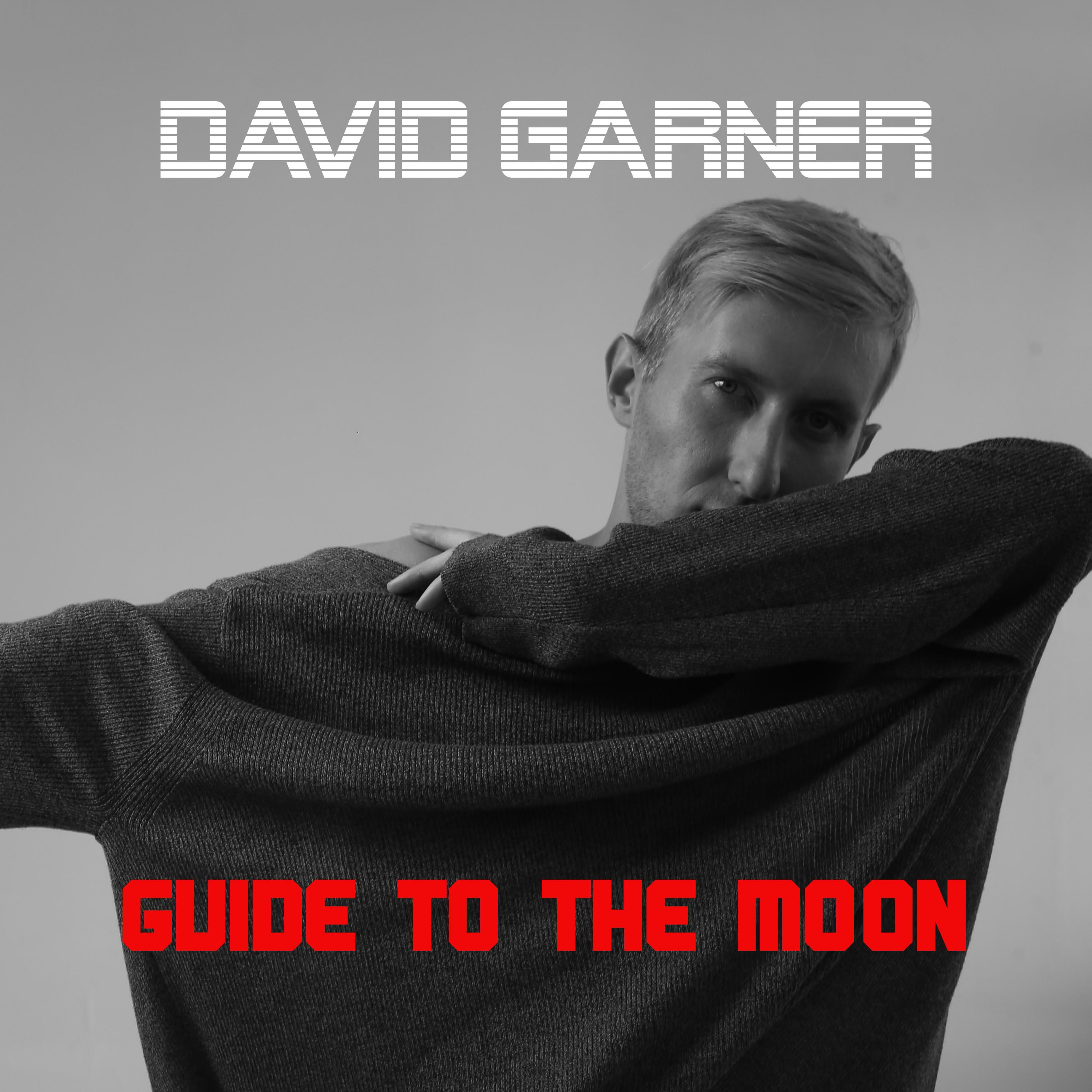 David Garner - Anybody (Original Mix)