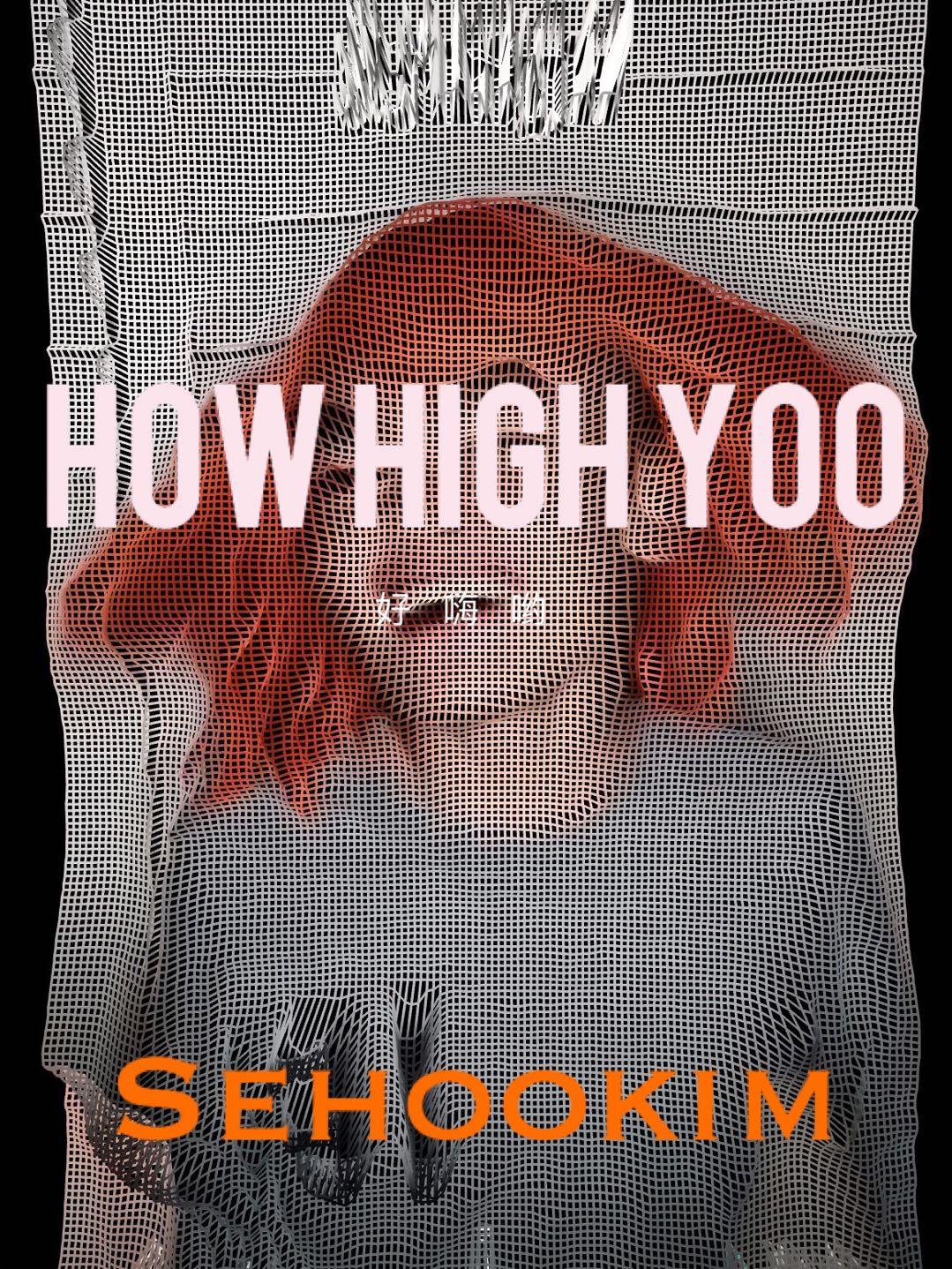 How high yoo (好嗨哟）feat.毛毛姐
