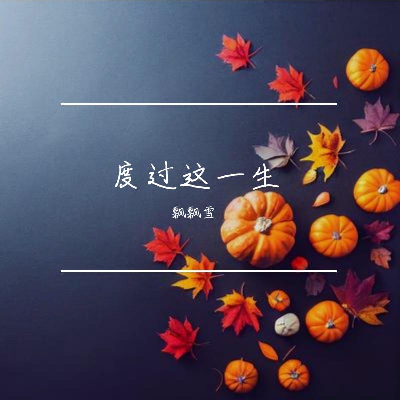 度过这一生