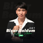 Bizar Boldum（厌烦了）专辑