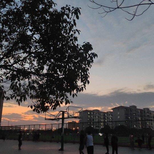 若我见山是山