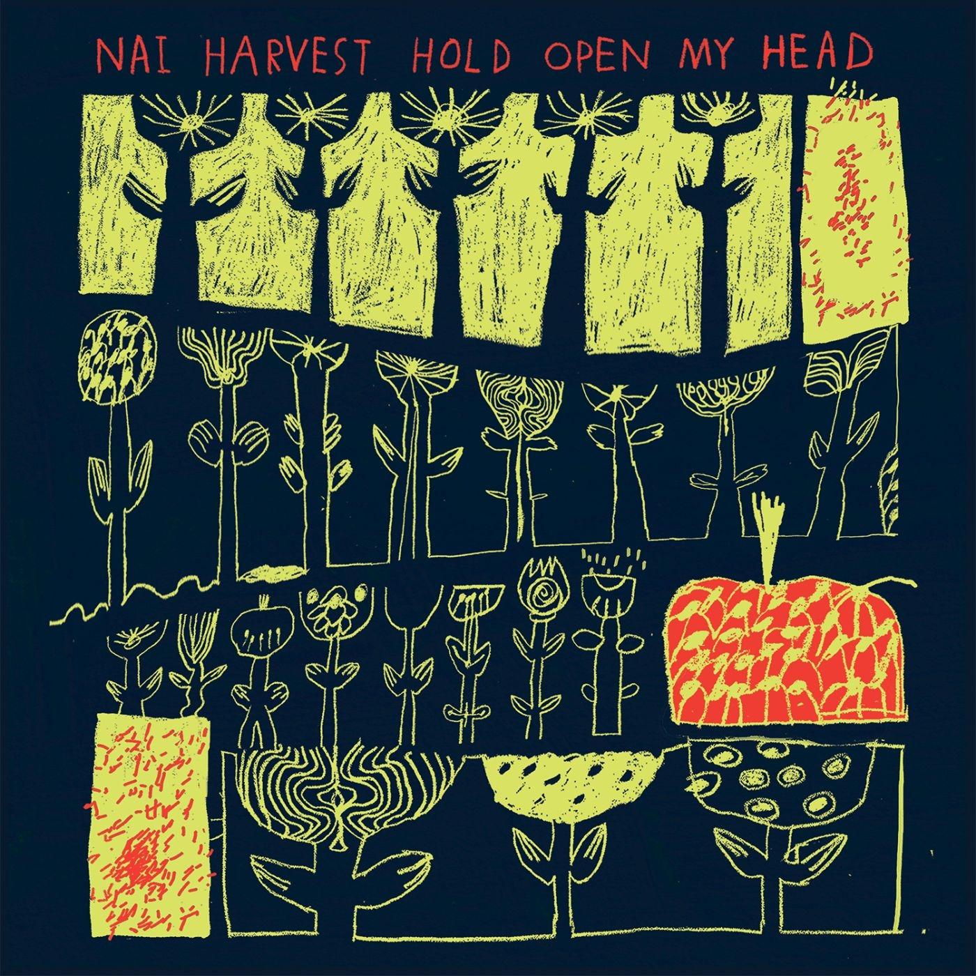 Hold Open My Head