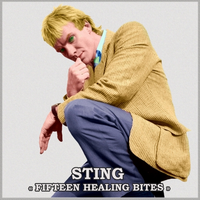 原版伴奏 Sting  Shape of My Heart skit Instrumental 无和声伴奏(原调)
