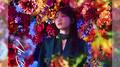In Bloom专辑