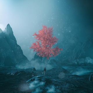 Alternative • 尘嚣之外的静处时光