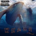 Whale专辑