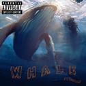 Whale专辑