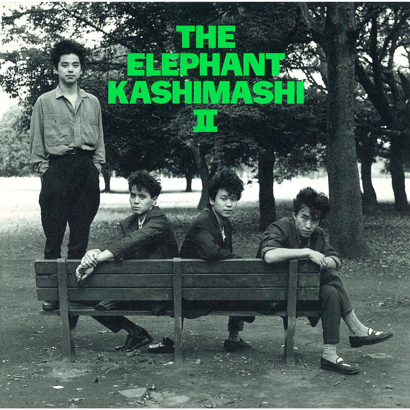 THE ELEPHANT KASHIMASHI II