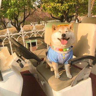 温柔纯音丨减压的一剂妙药