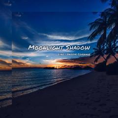 Moonlight Shadow (Like Remix)