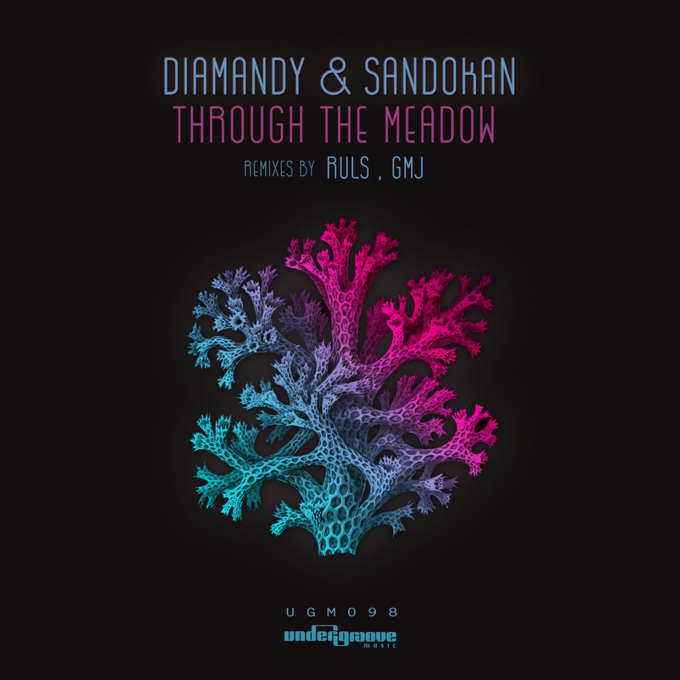 Through the Meadow (GMJ Remix)