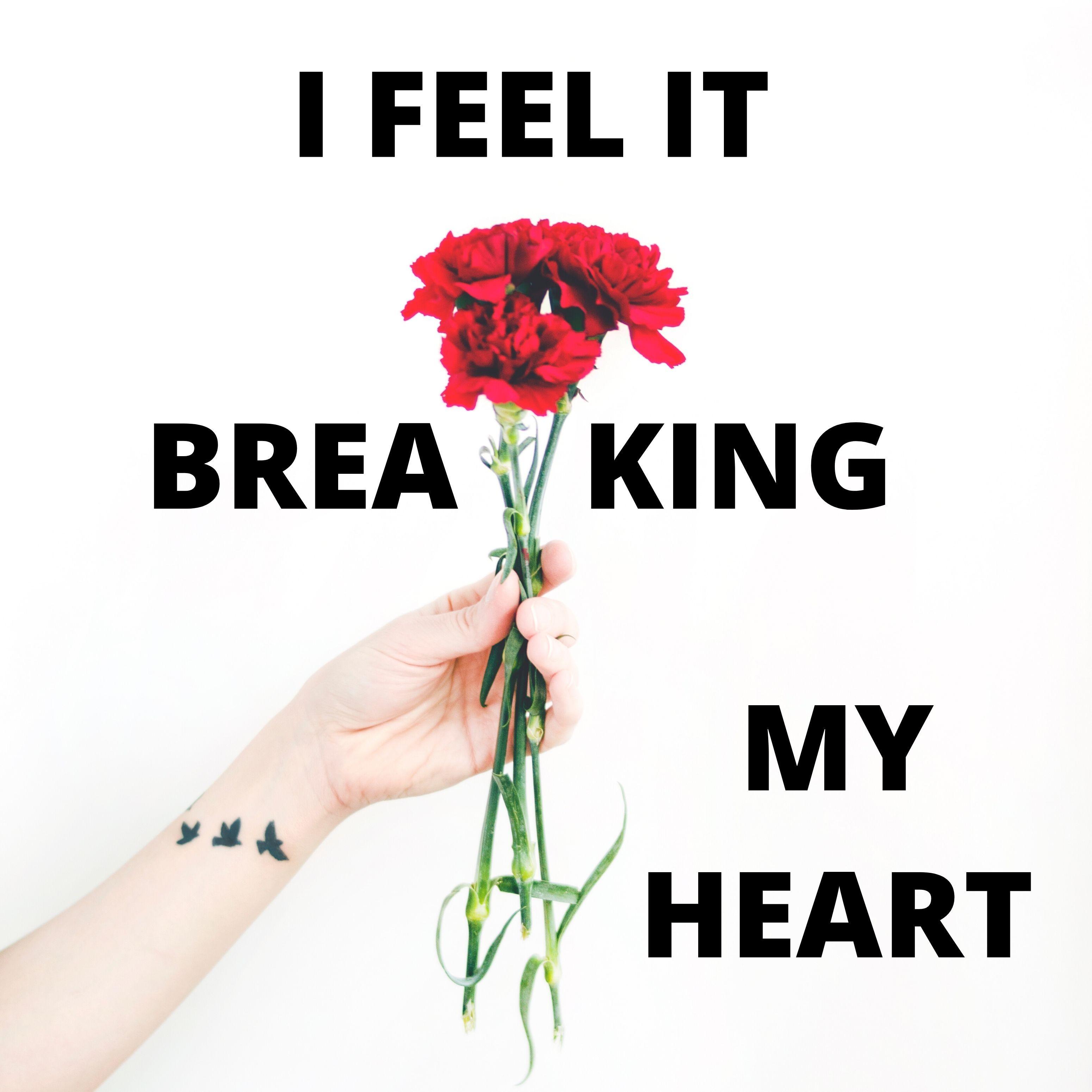 I Feel It Breaking My Heart
