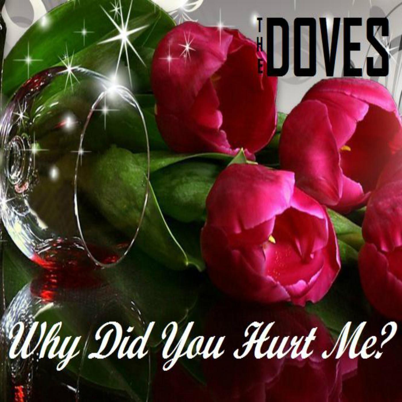 Why Did You Hurt Me?