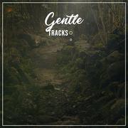 #16 Gentle Tracks for Meditation and Sleep