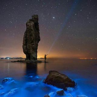 【EDM】令人上瘾的电音