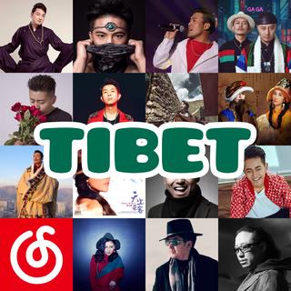 网易云音乐藏歌大全