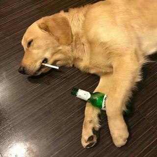 民谣非吾素履所往°