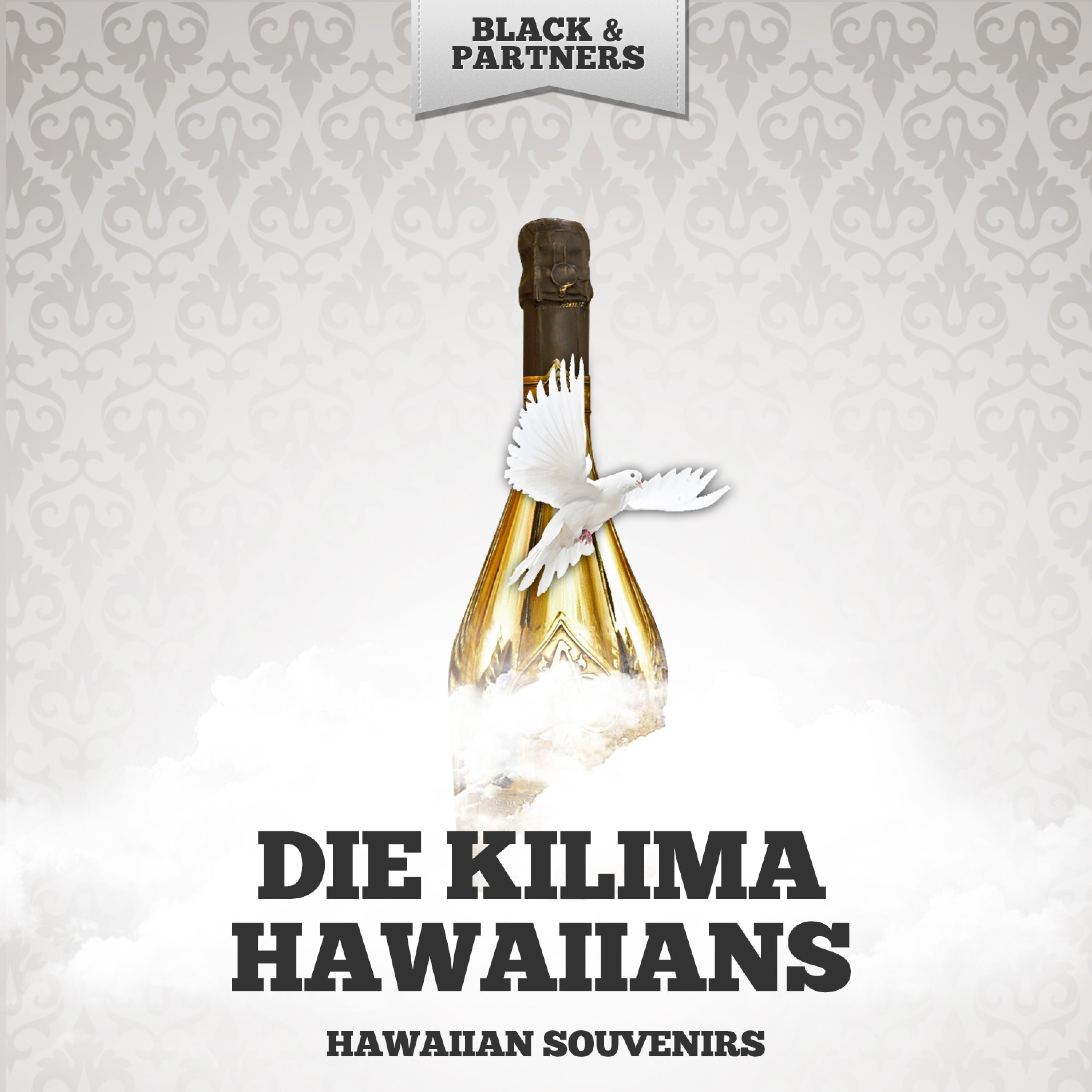 Hawaiian Souvenirs