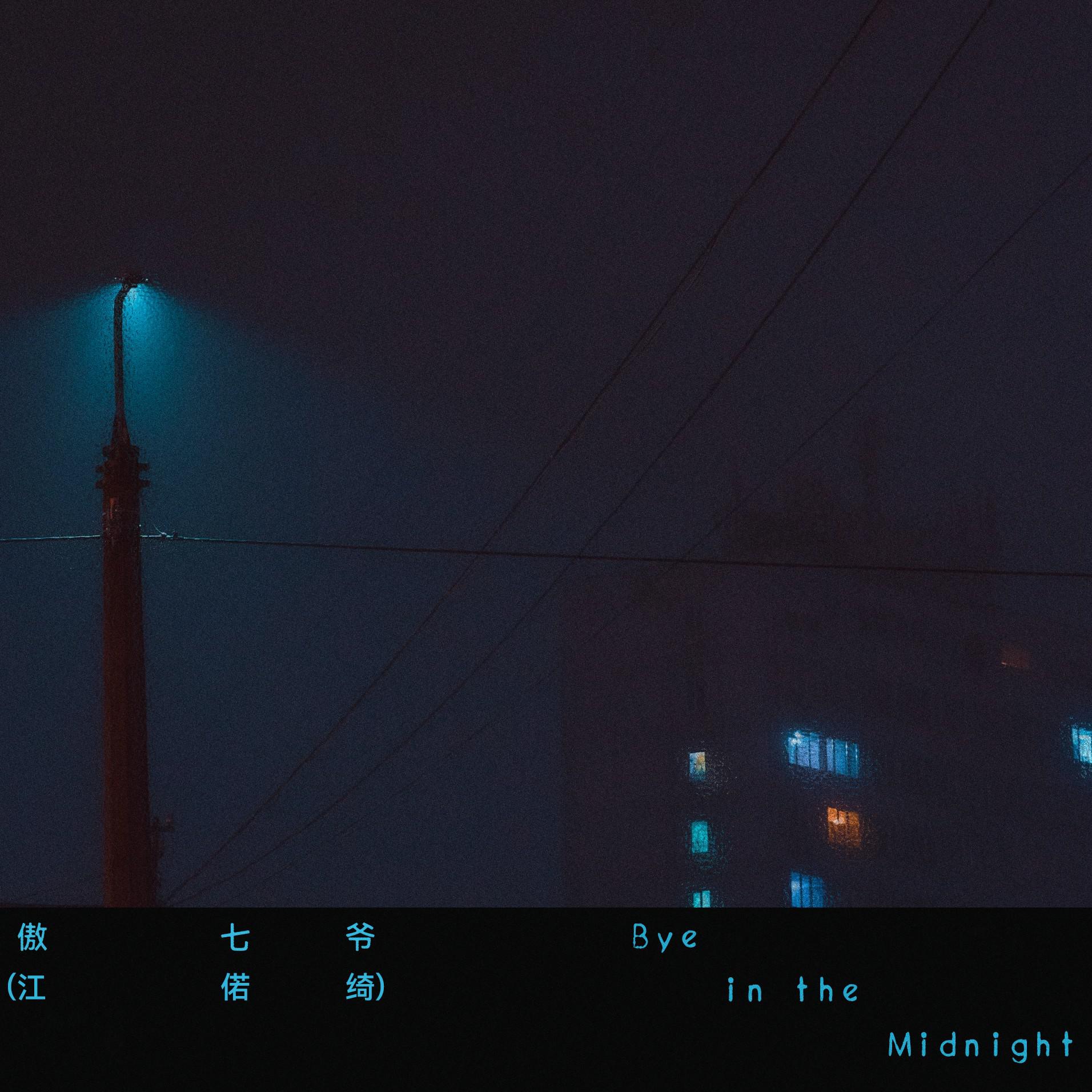 Bye in the midnight专辑