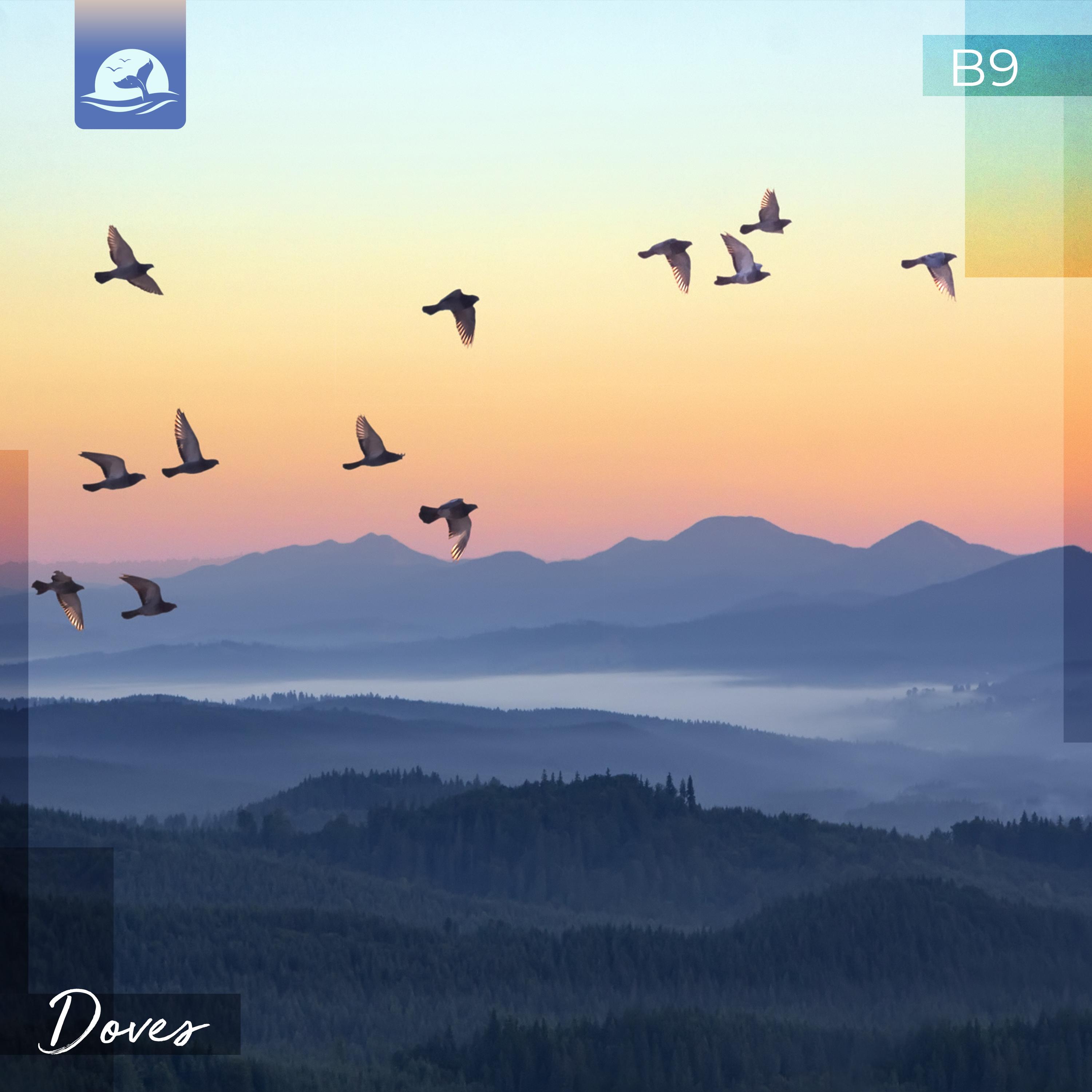 Doves