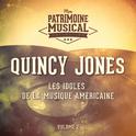 Les idoles de la musique américaine : Quincy Jones, Vol. 2专辑