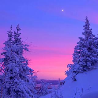 冬季浪漫丨漫漫隆冬和初雪重逢