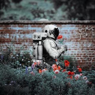 人声后摇丨孤独是一个人的狂欢