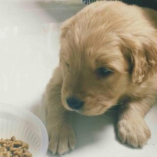 404NTFounD不常听 惊惹(持续更)