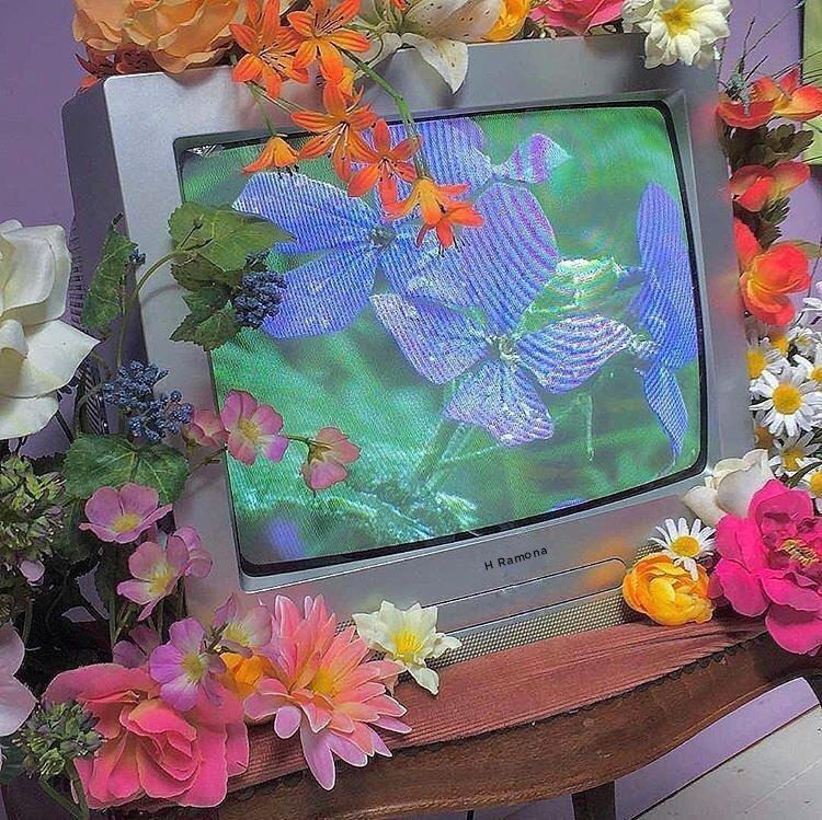 花店营业歌单florist花艺师必备