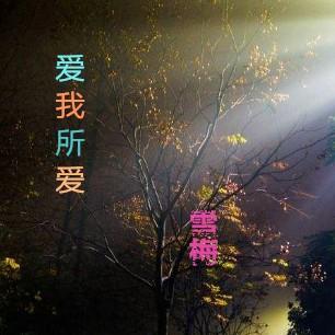 爱我所爱