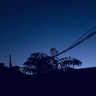 生活就是一个游乐场