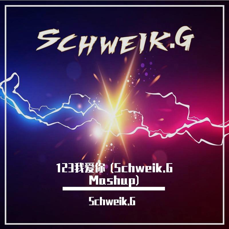 新乐尘符-123我爱你 (Schweik.G Mashup)（Schweik.G remix）