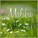 Malibu (Piano Rendition)专辑
