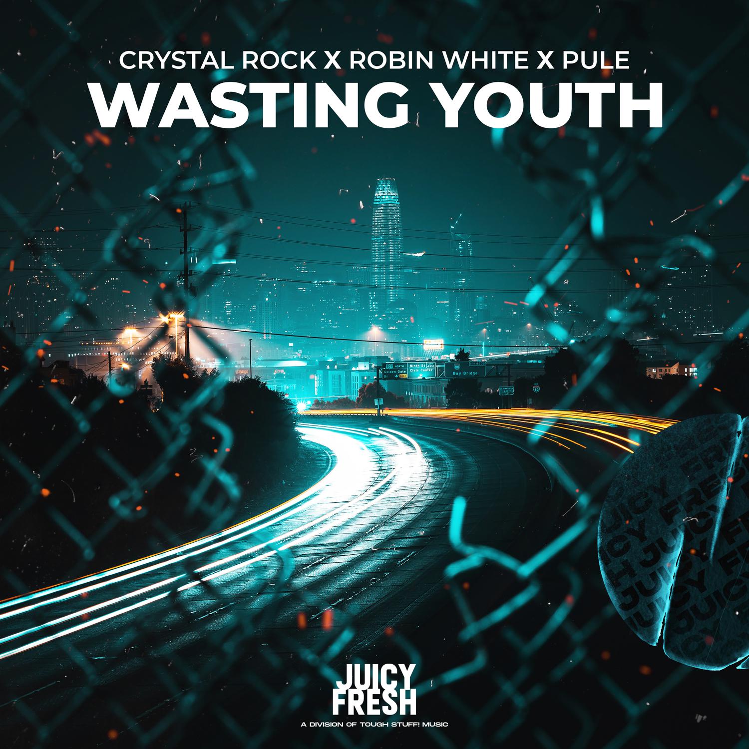 Crystal Rock - Wasting Youth
