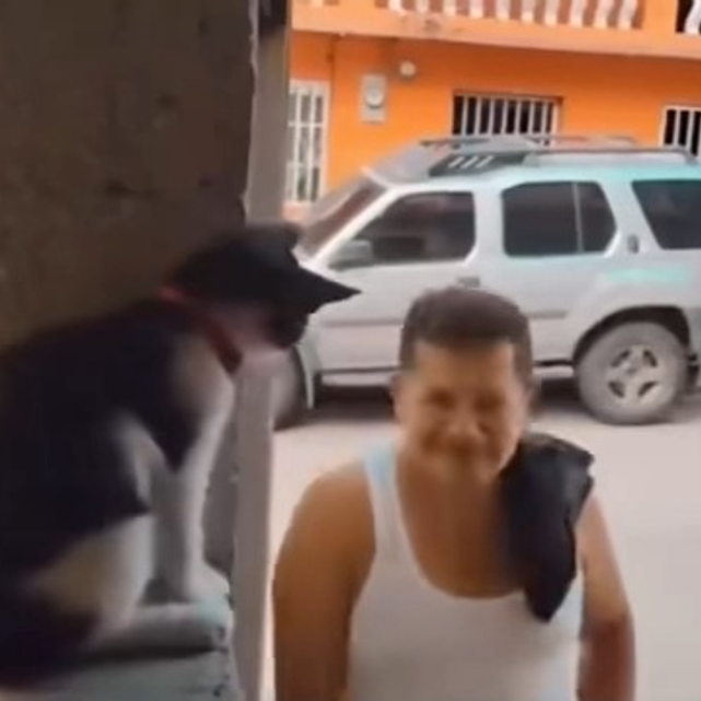 你甚至不愿叫我一声哈基米