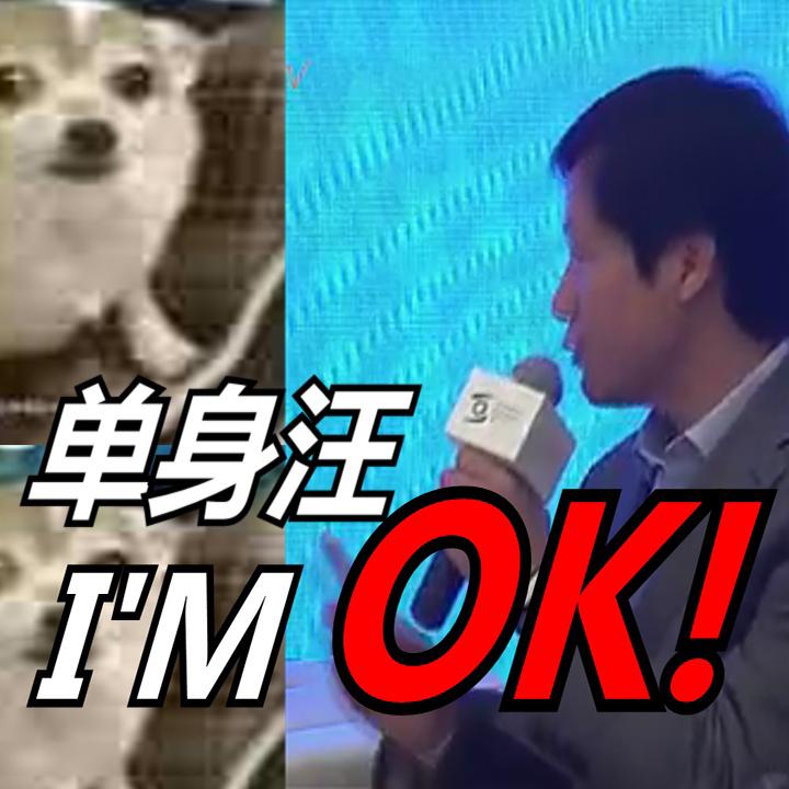 【雷军】单身汪I'm OK!