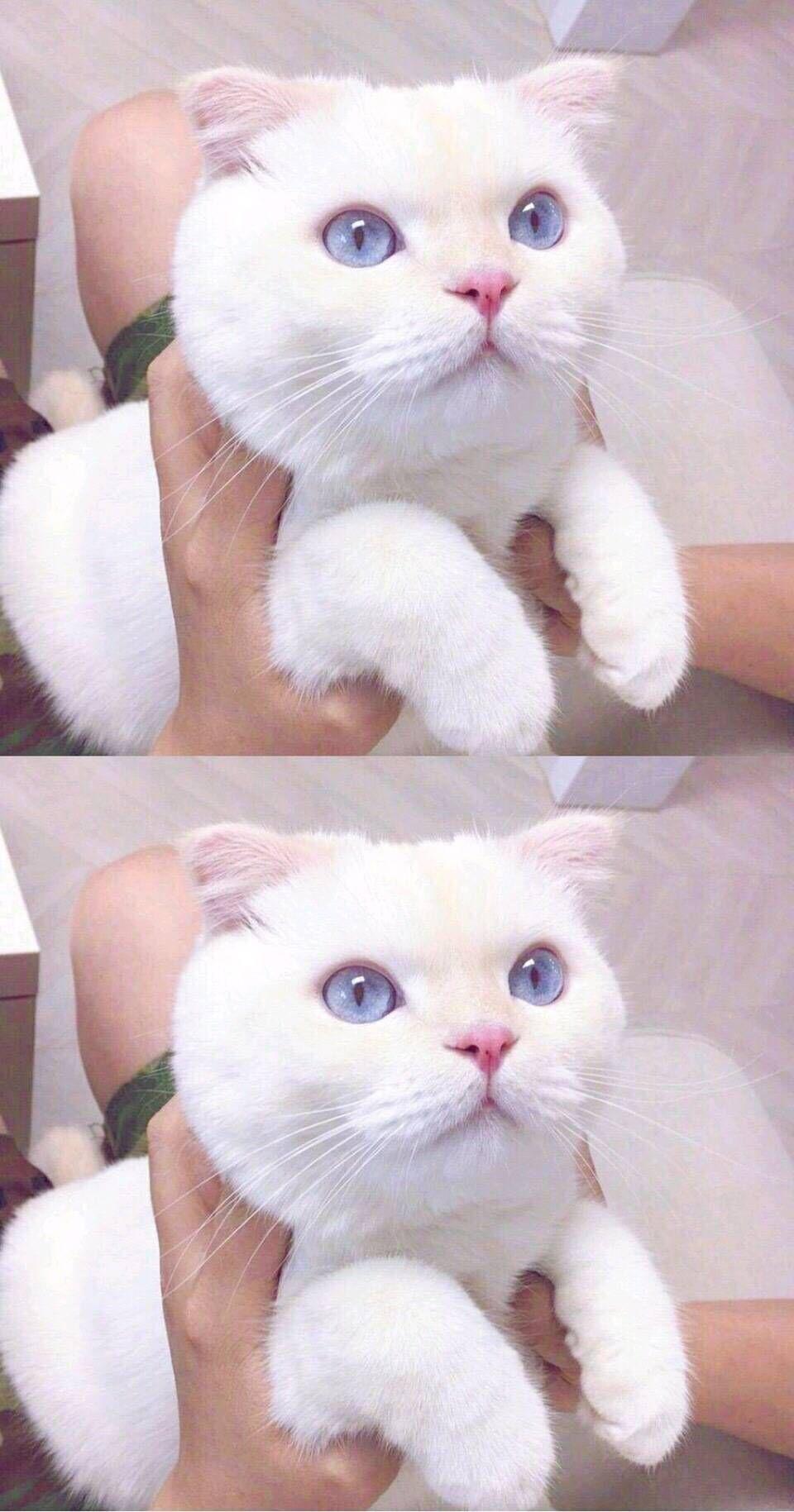 最美的期待专辑