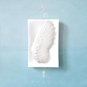 曹方 - 海鸥 （升6半音）