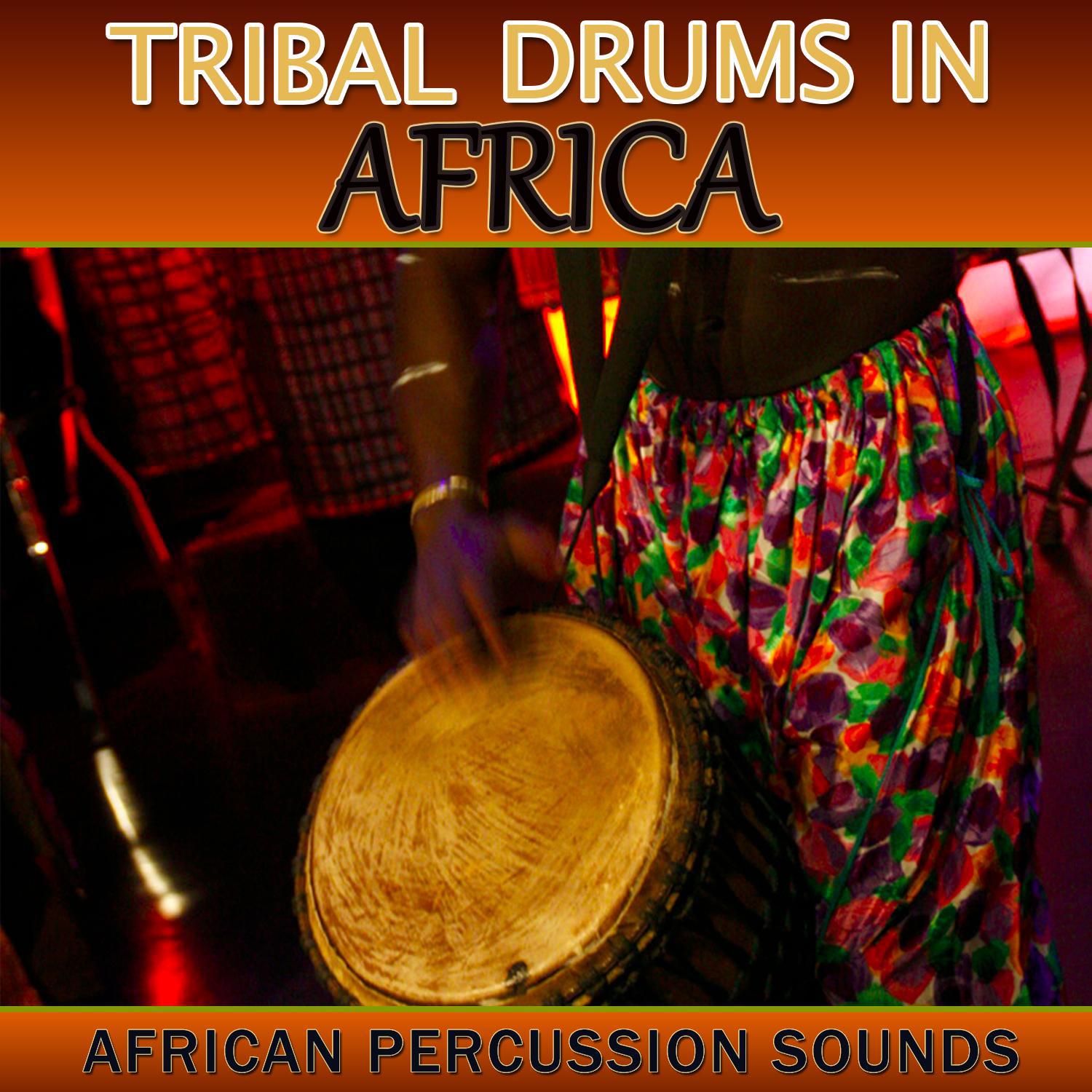 Tribal Drums in Africa. African Percussion Sounds专辑