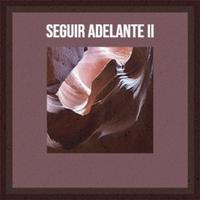 Seguir Adelante II