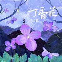 李常超（Lao乾妈） - 丁香花(新版伴奏).mp3