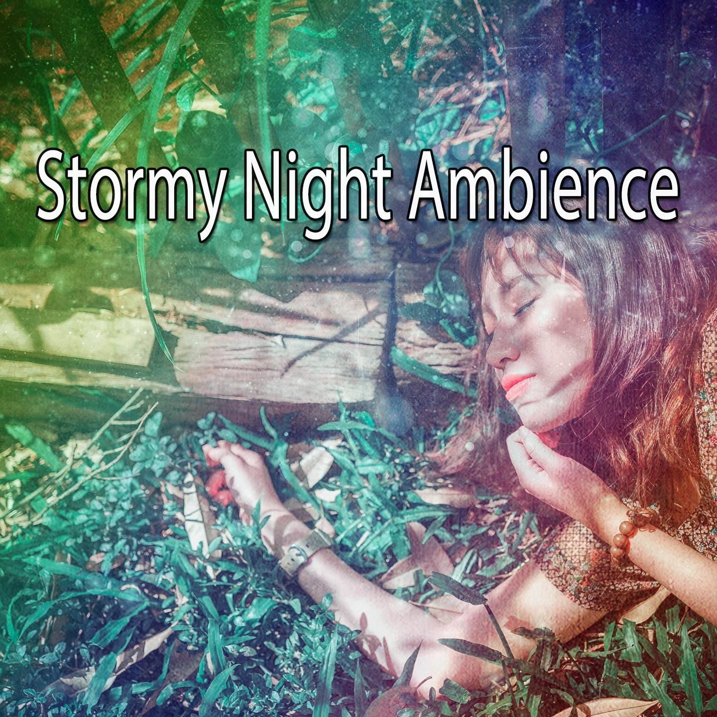 Stormy Night Ambience专辑