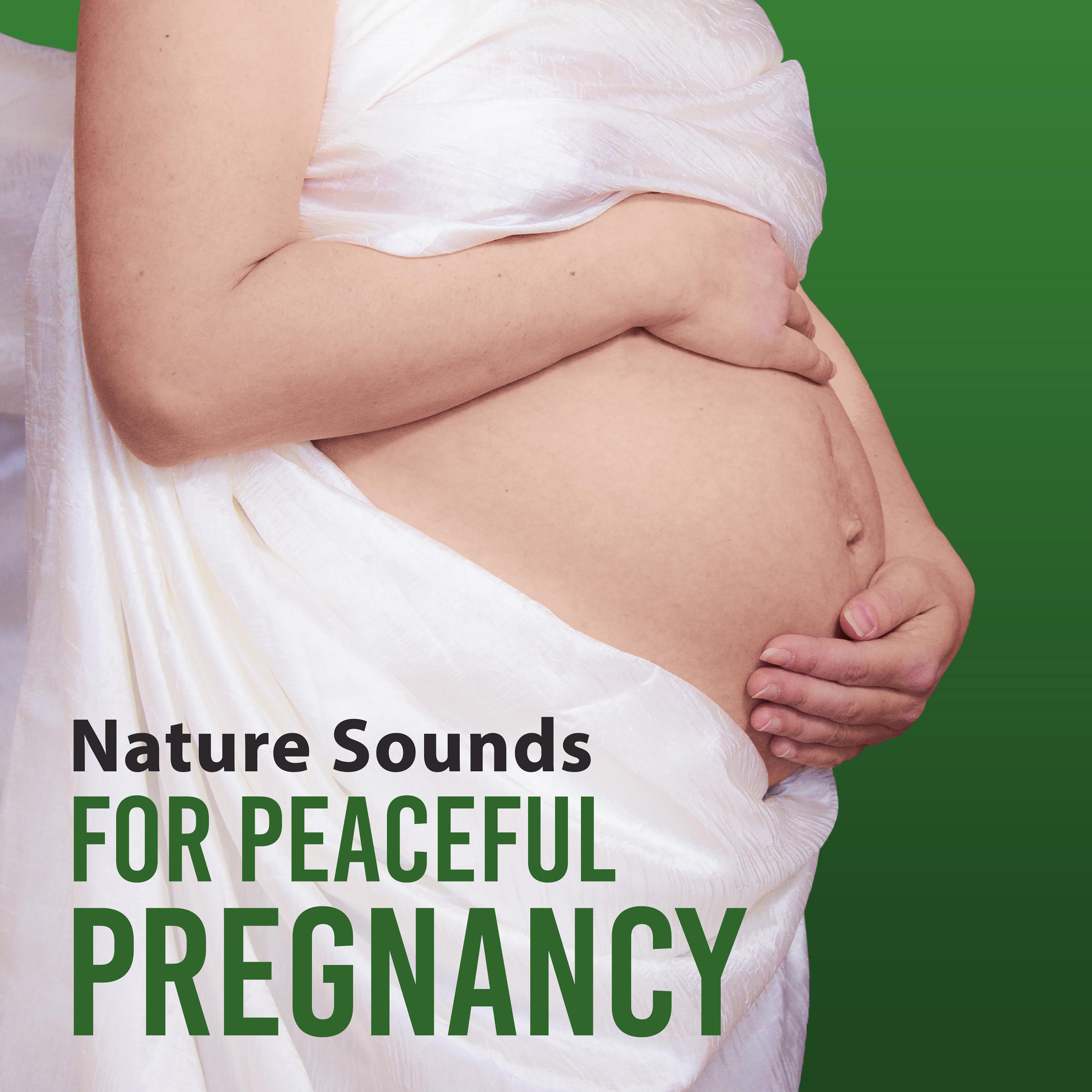 Nature Sounds for Peaceful Pregnancy – Relaxation Music, Pregnancy Yoga, Deep Rest, Calm Baby, Sleep专辑