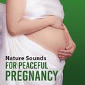 Nature Sounds for Peaceful Pregnancy – Relaxation Music, Pregnancy Yoga, Deep Rest, Calm Baby, Sleep专辑