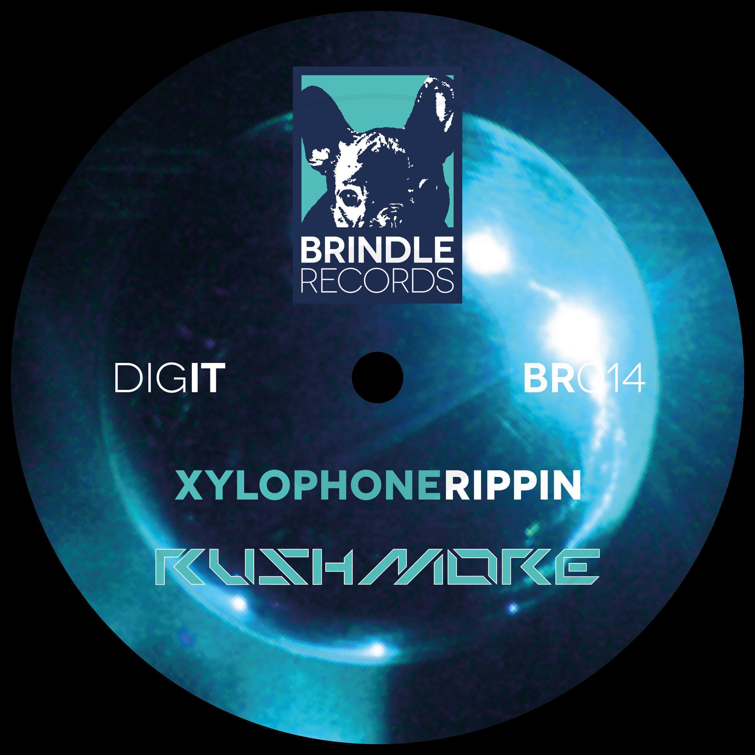 Xylophone Rippin