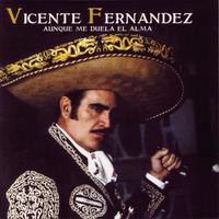 Vicente Fernandez - Aunque Me Duela El Alma (karaoke)