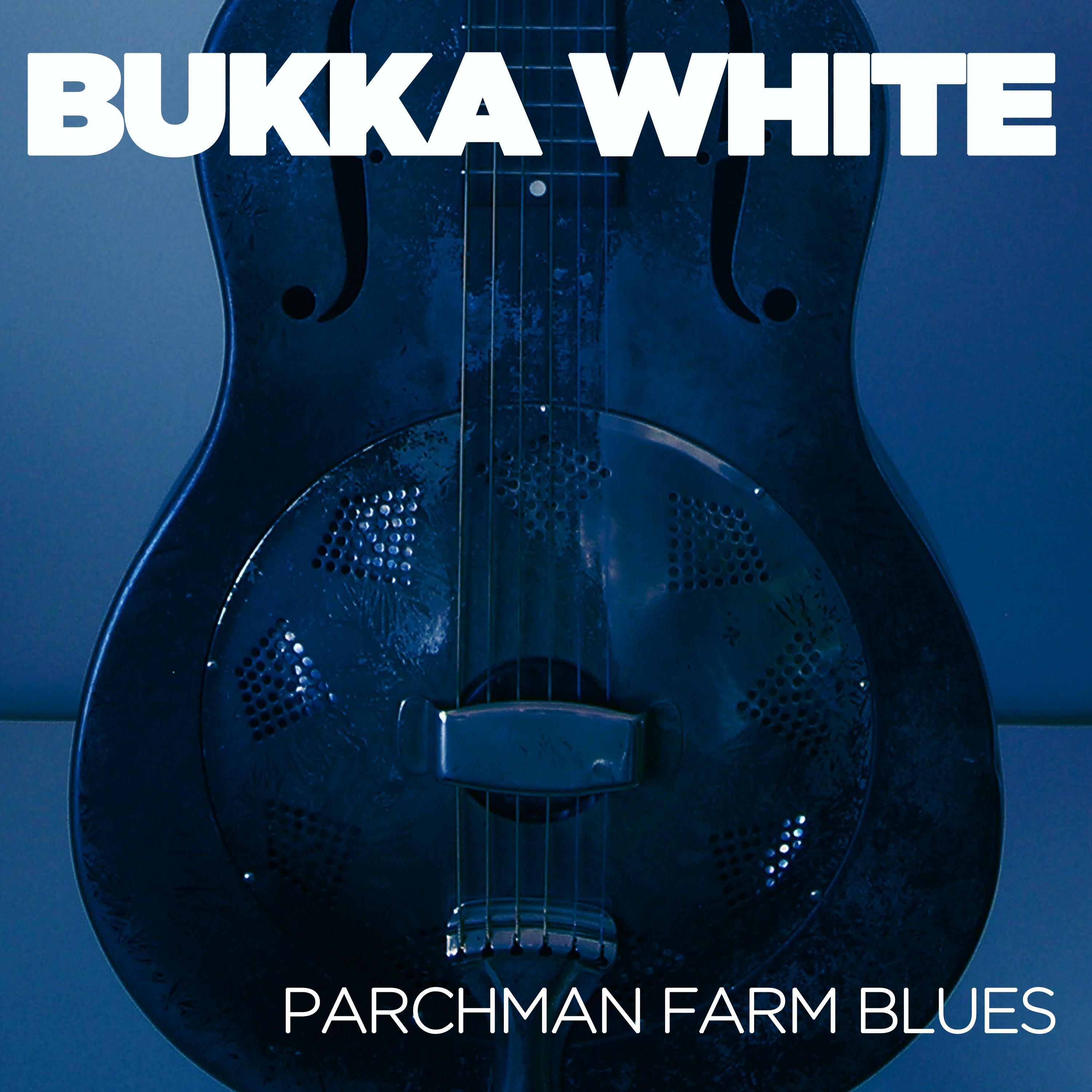 Parchman Farm Blues