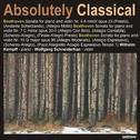 Absolutely Classical, Volume 176专辑