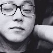 高级动物