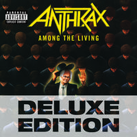 Anthrax - Imitation Of Life (instrumental)